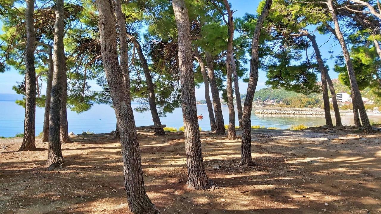 Apartments Zorica Дуче Екстер'єр фото